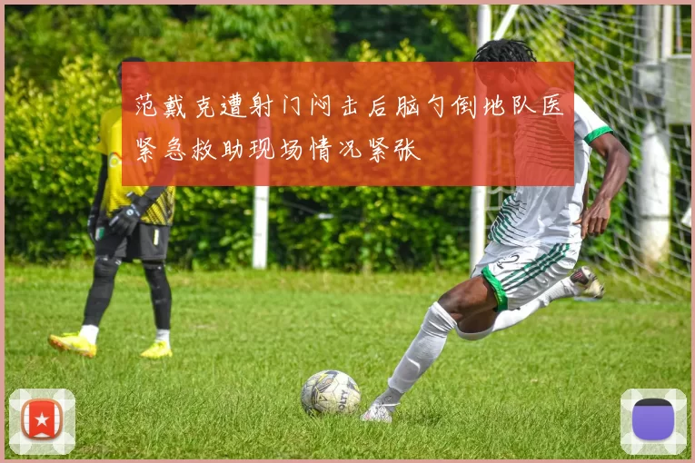 范戴克遭射门闷击后脑勺倒地队医紧急救助现场情况紧张